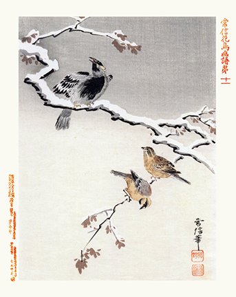 photo11.jpg