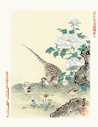 photo4.jpg