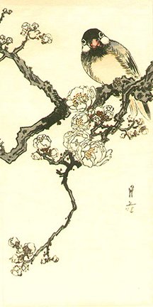 photo20.jpg