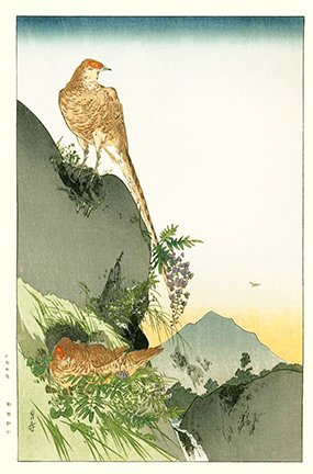photo31.jpg