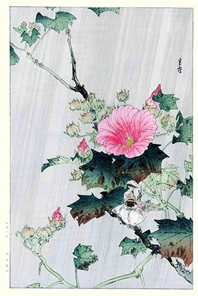photo33.jpg