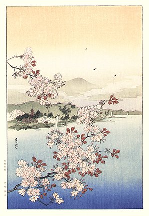 photo8.jpg