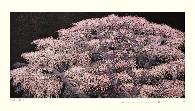 photo23.jpg