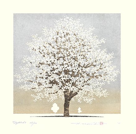 photo8.jpg