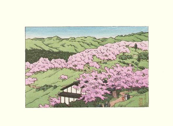 photo7.jpg