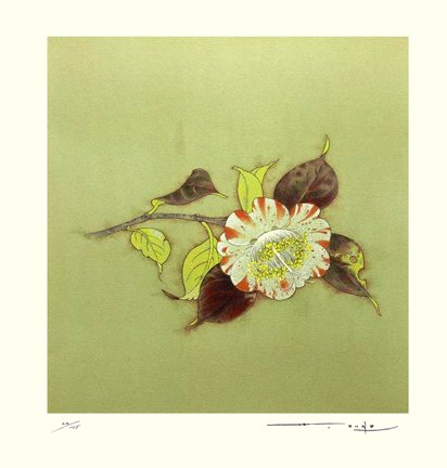 photo.jpg