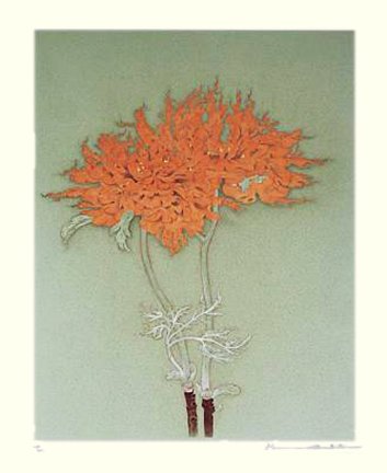 photo7.jpg