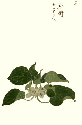 photo14.jpg