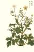 photo15_small.jpg