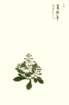 photo17_small.jpg