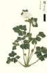 photo18_small.jpg