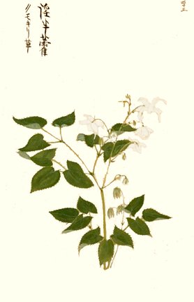photo20.jpg