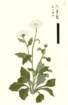 photo22_small.jpg