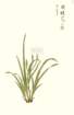 photo30_small.jpg
