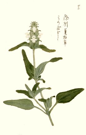photo37.jpg
