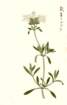 photo39_small.jpg