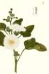 photo47_small.jpg