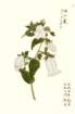 photo50_small.jpg