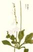 photo56_small.jpg