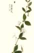photo58_small.jpg