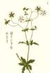 photo63_small.jpg