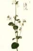 photo67_small.jpg