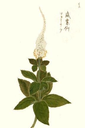 photo69.jpg