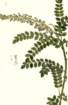 photo71_small.jpg