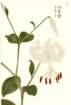 photo73_small.jpg