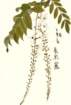 photo74_small.jpg