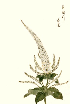 photo75.jpg