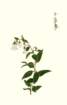 photo76_small.jpg