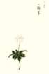 photo7_small.jpg