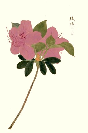 photo14.jpg