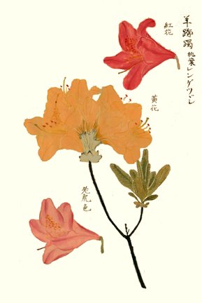 photo17.jpg