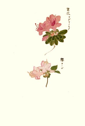 photo7.jpg