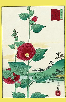 photo23.jpg