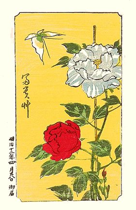 photo.jpg