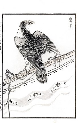 photo.jpg