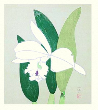 photo9.jpg