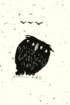 photo209_small.jpg