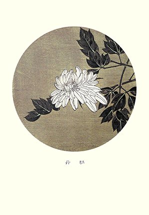 photo27.jpg