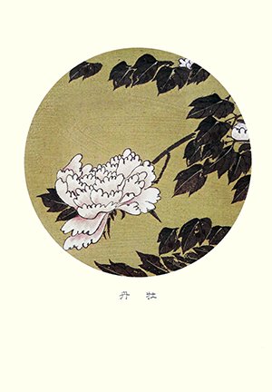 photo31.jpg
