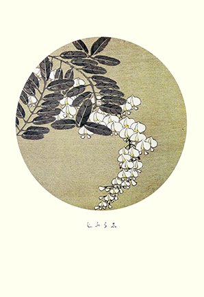 photo34.jpg