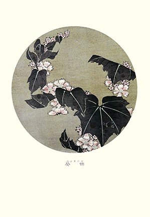 photo41.jpg