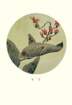 photo70_small.jpg