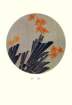 photo73_small.jpg