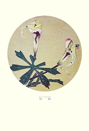 photo80.jpg