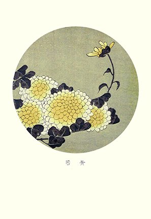 photo83.jpg