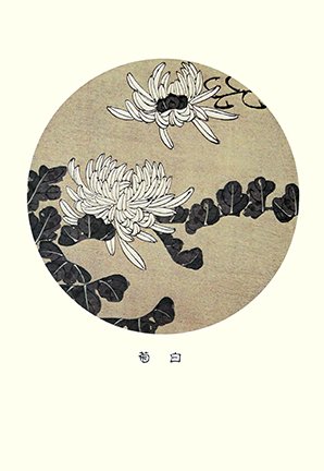 photo86.jpg